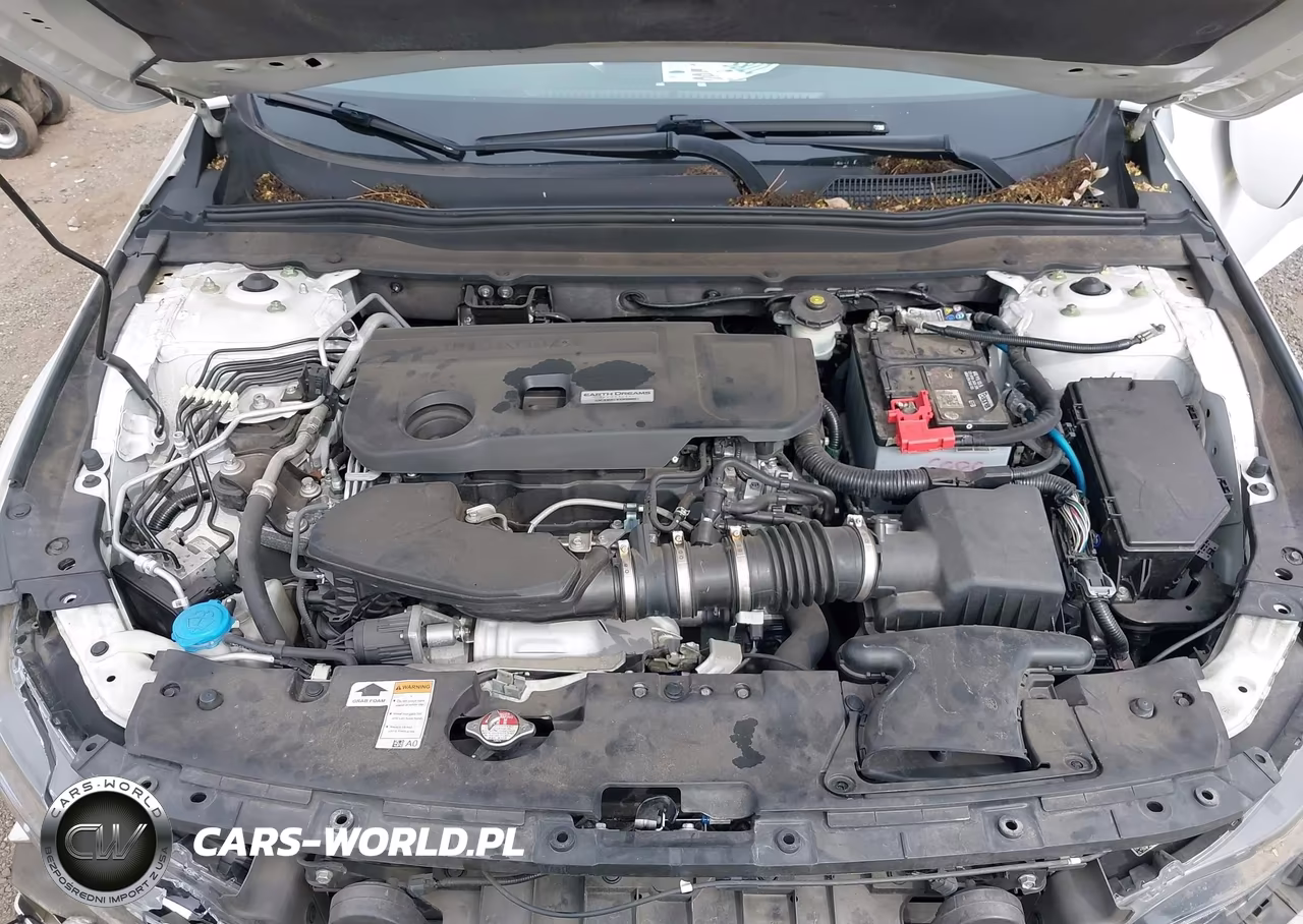 2019 Honda Accord Sport 2.0T VIN:1HGCV2F34KA031441 - 10