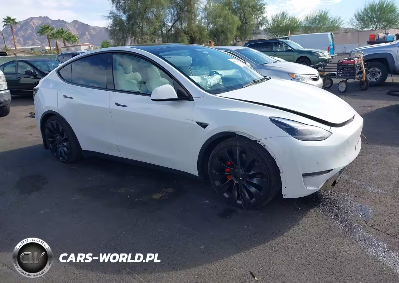 2022 Tesla Model Y Performance Dual Motor All-Wheel Drive