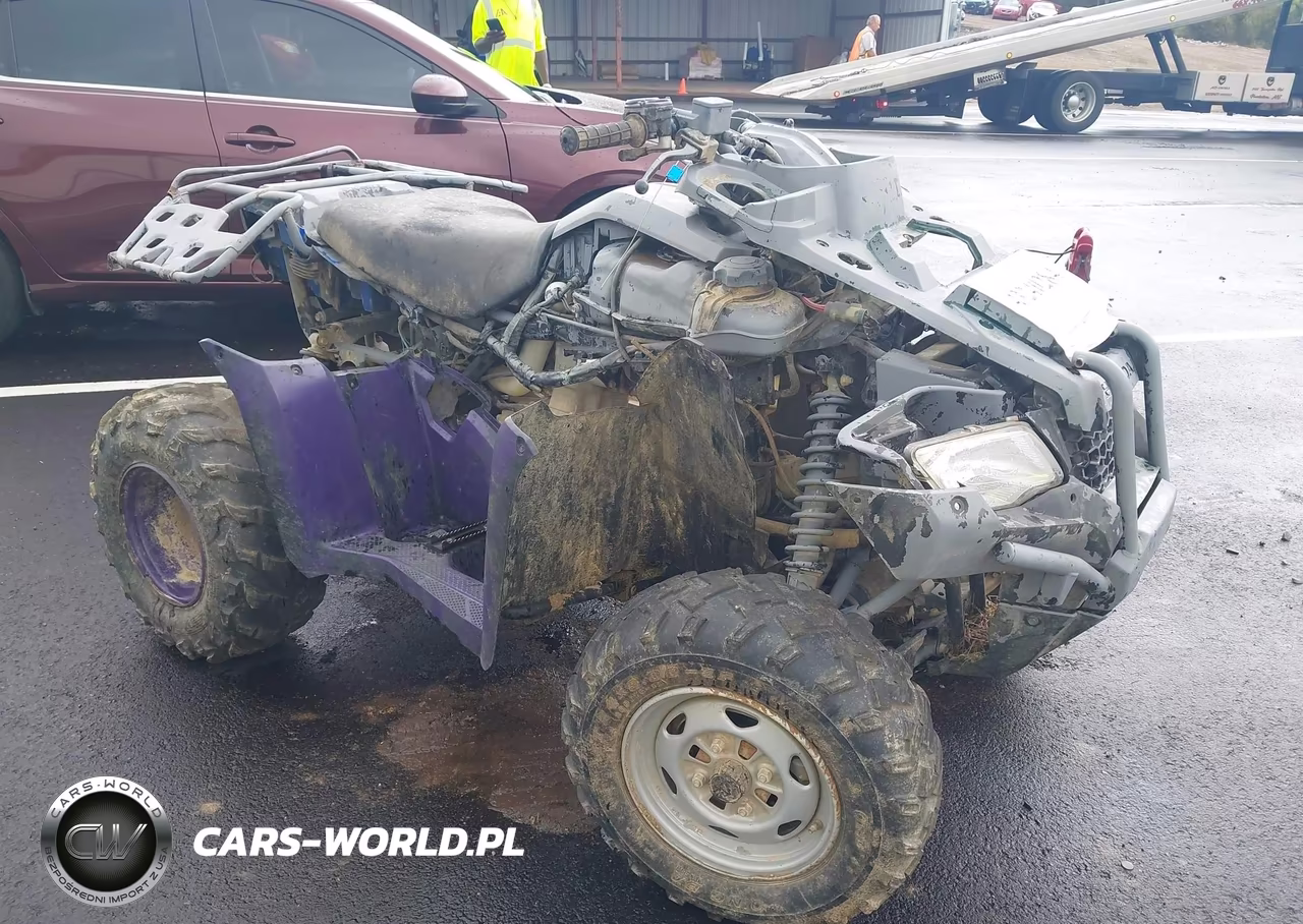 2021 Honda Trx420 Fa – zdjęcie 1 z 13
