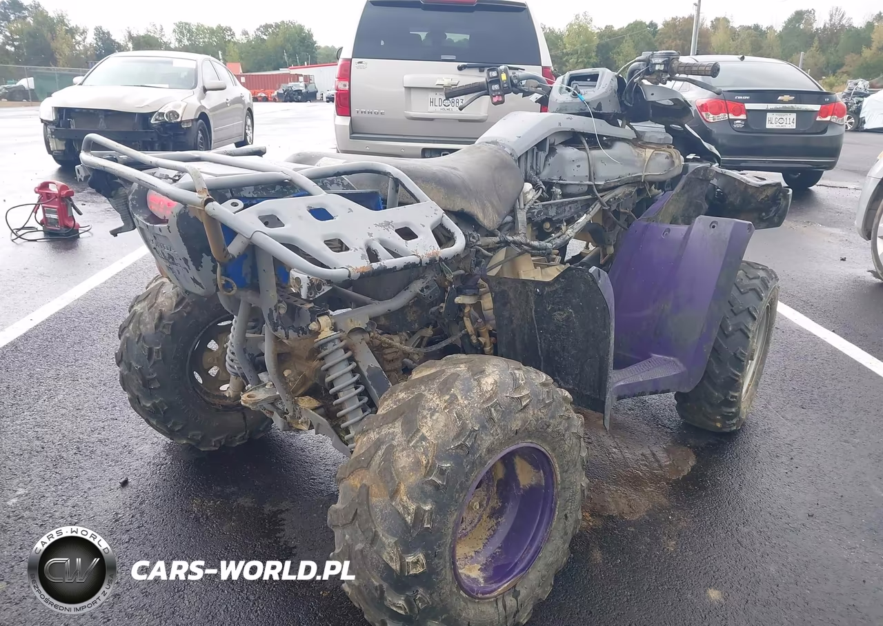 2021 Honda Trx420 Fa VIN:1HFTE47D8M4601322 - 4