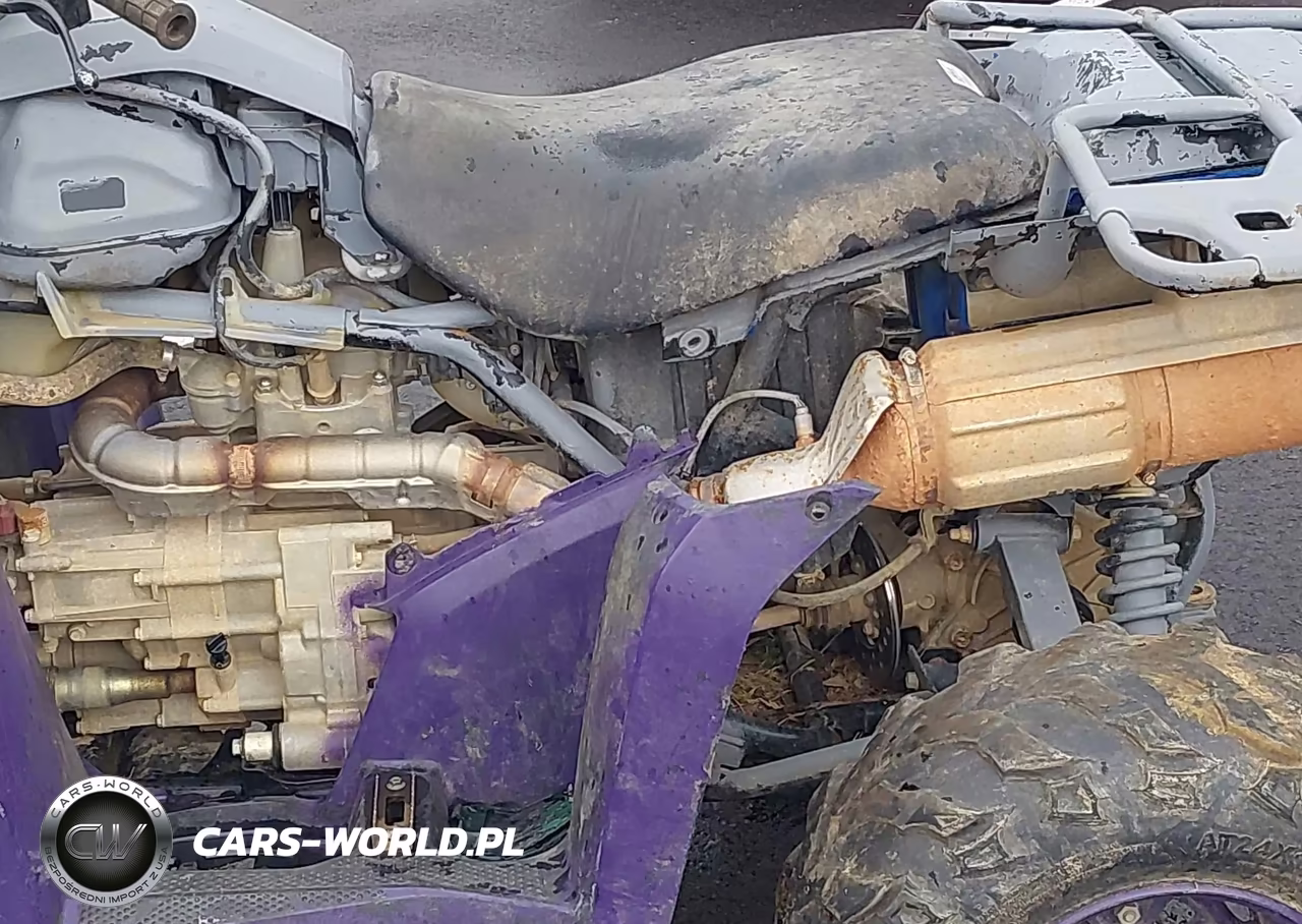 2021 Honda Trx420 Fa VIN:1HFTE47D8M4601322 - 9