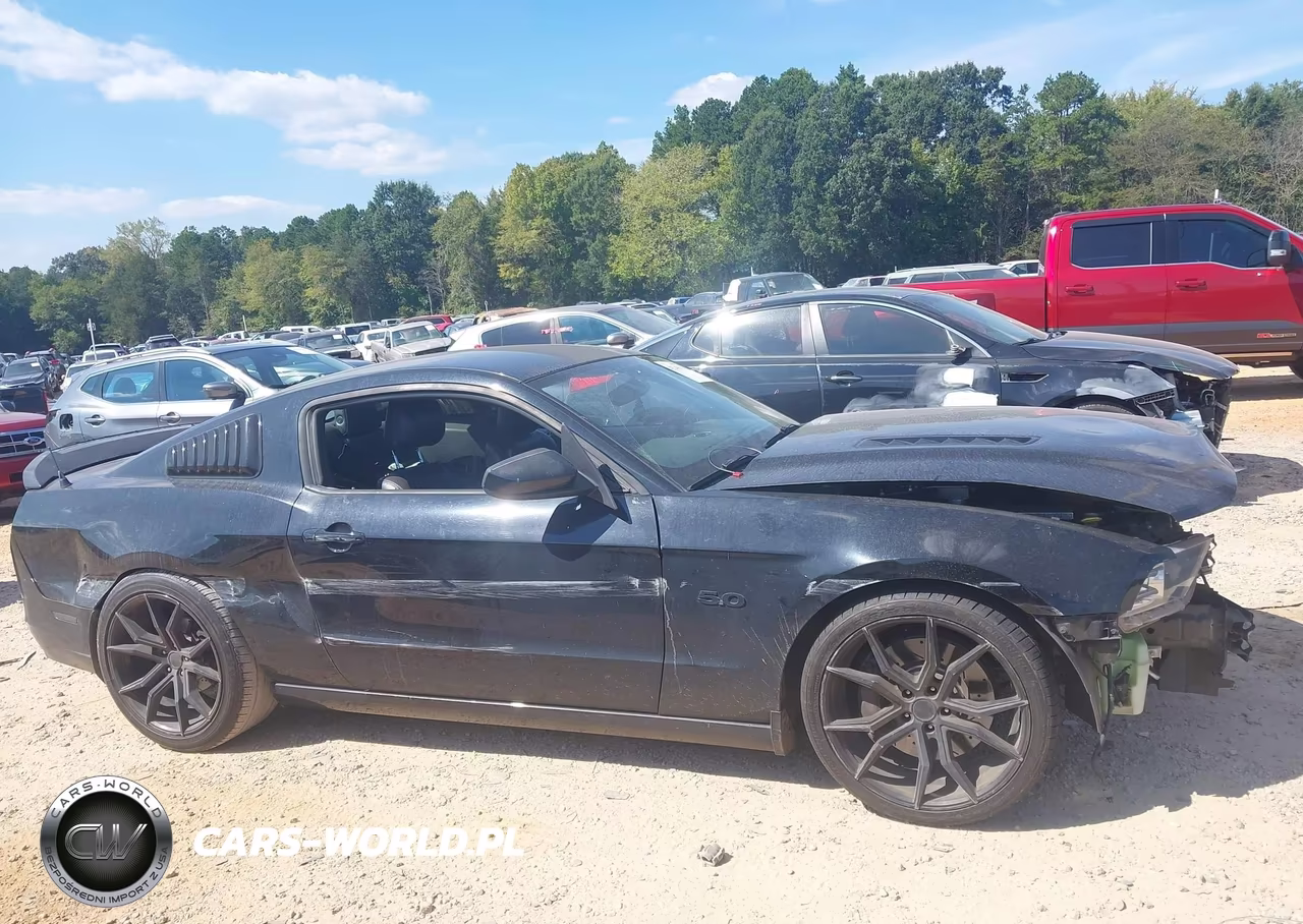 2014 Ford Mustang Gt Premium VIN:1ZVBP8CF3E5258524 - 13