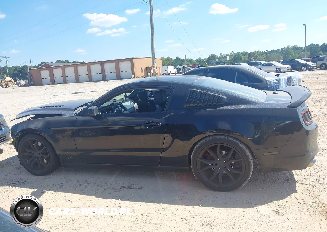 2014 Ford Mustang Gt Premium VIN:1ZVBP8CF3E5258524 - 14