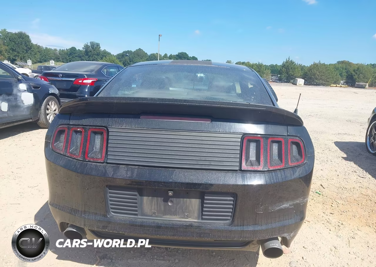 2014 Ford Mustang Gt Premium VIN:1ZVBP8CF3E5258524 - 16