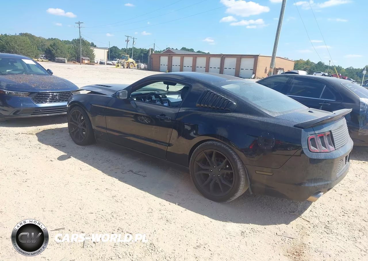 2014 Ford Mustang Gt Premium VIN:1ZVBP8CF3E5258524 - 3