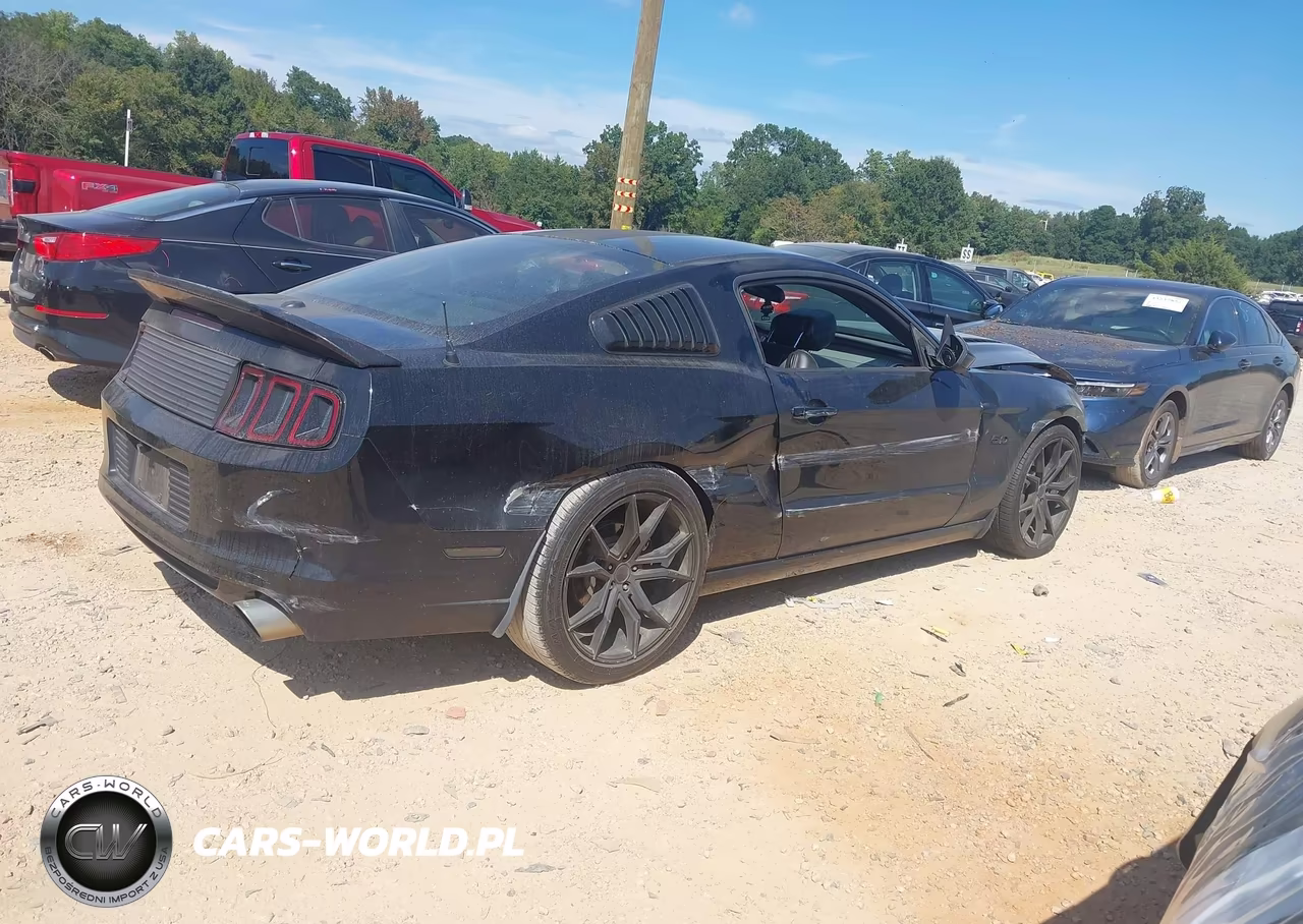 2014 Ford Mustang Gt Premium VIN:1ZVBP8CF3E5258524 - 4
