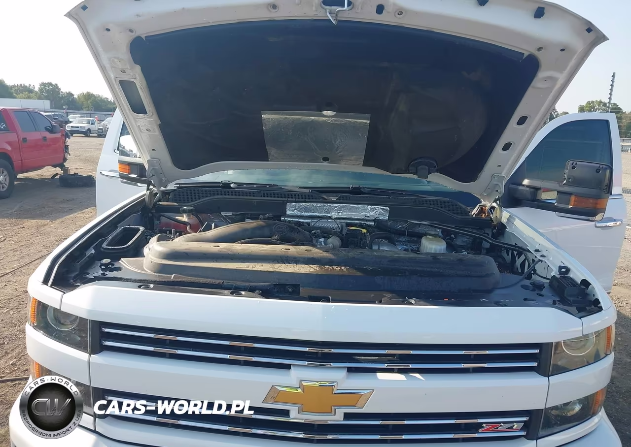 2018 Chevrolet Silverado 2500Hd Ltz VIN:1GC1KWEY5JF245049 - 10