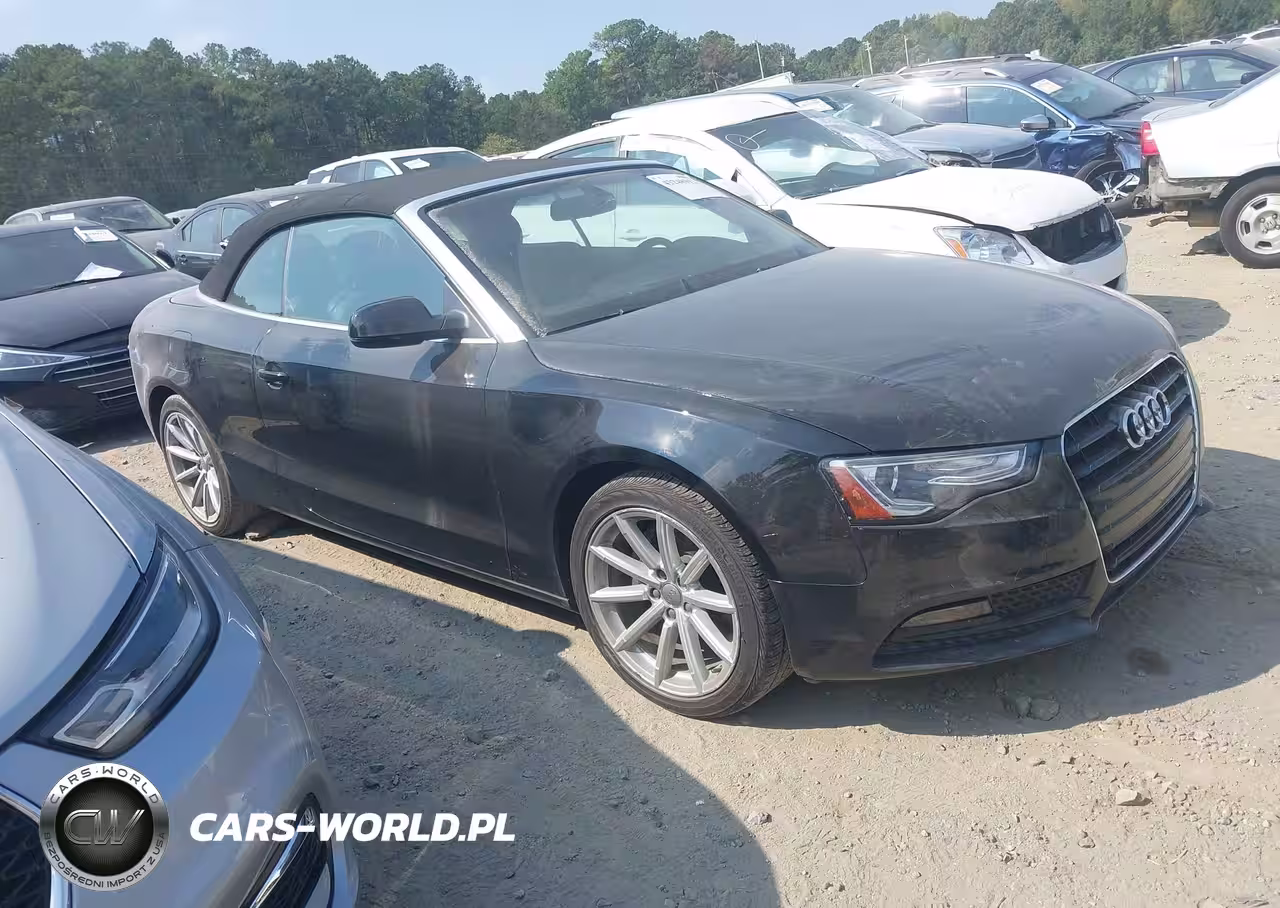 AUDI