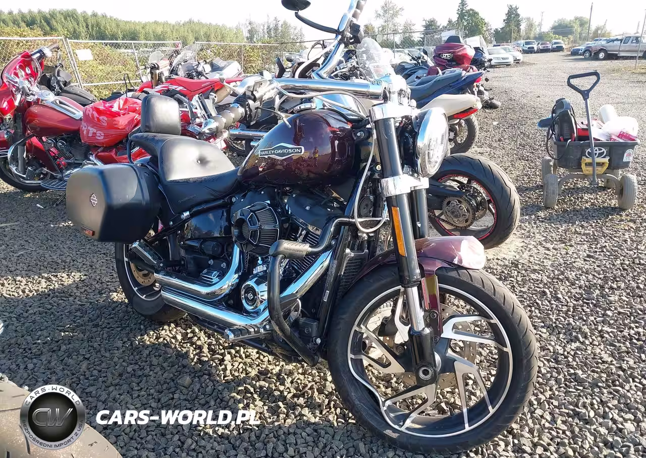 2019 Harley-Davidson Flsb