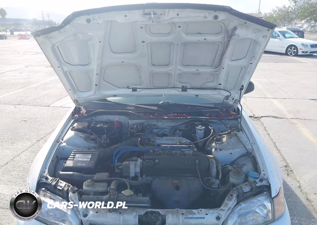 1993 Honda Civic Dx VIN:1HGEG8640PL040423 - 10