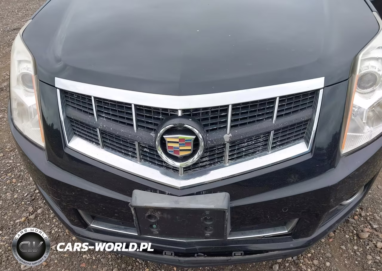 2010 Cadillac Srx Luxury Collection VIN:3GYFNDEY5AS595210 - 10