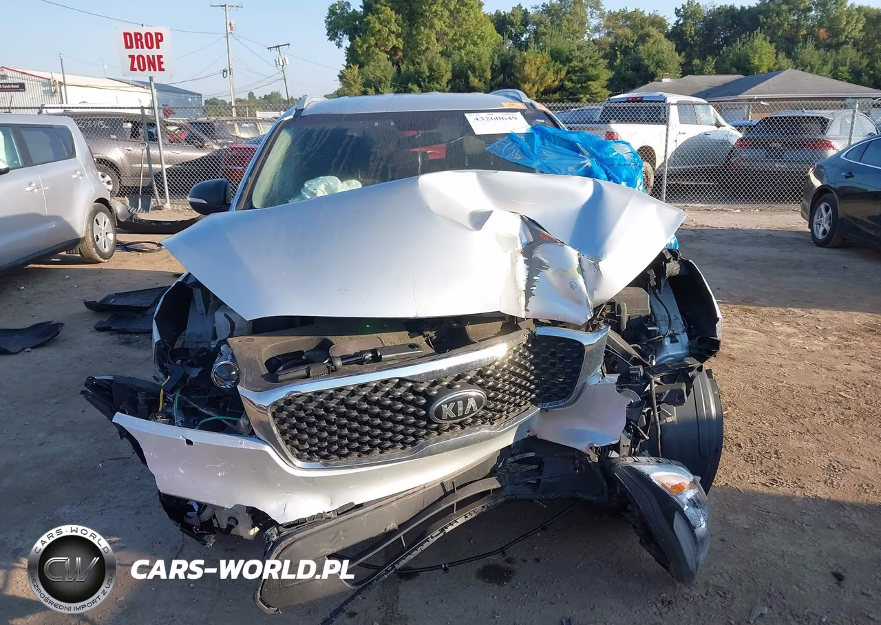 2018 Kia Sorento 2.4L Lx VIN:5XYPG4A3XJG339483 - 12