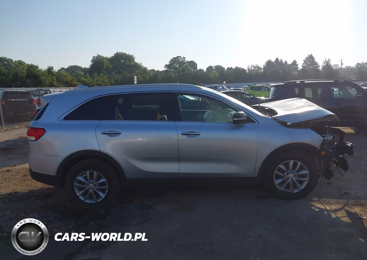 2018 Kia Sorento 2.4L Lx VIN:5XYPG4A3XJG339483 - 13