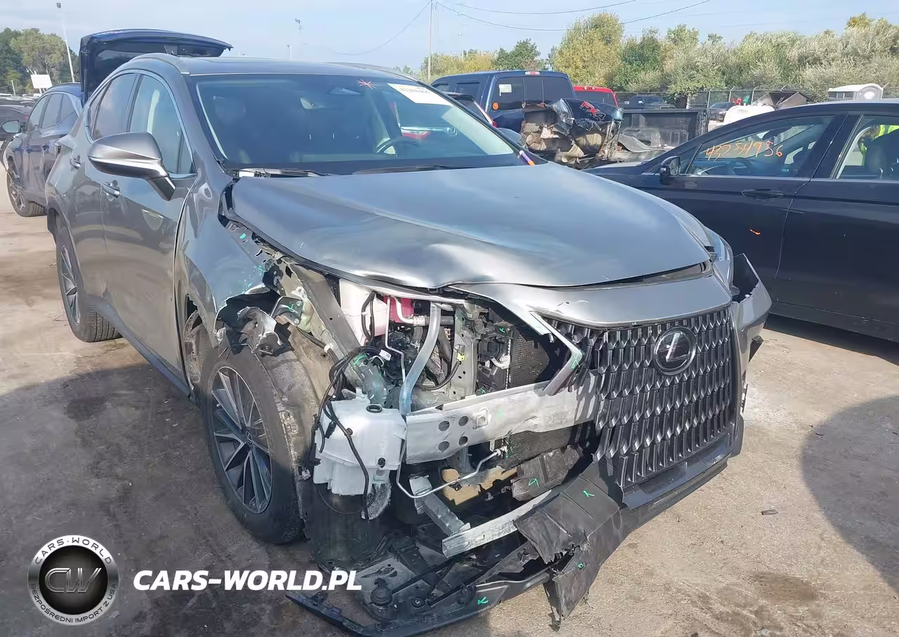 LEXUS