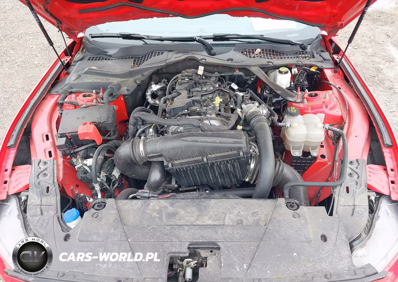 2024 Ford Mustang Ecoboost Premium VIN:1FAGP8UHXR5117020 - 10