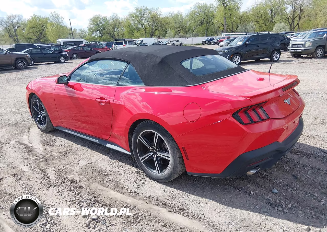 2024 Ford Mustang Ecoboost Premium VIN:1FAGP8UHXR5117020 - 3