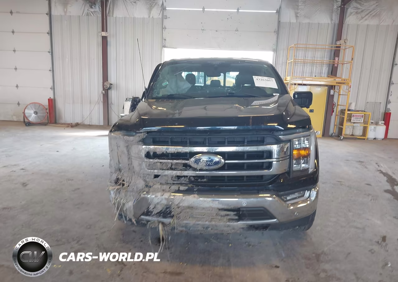 2021 Ford F-150 Lariat VIN:1FTFW1E57MFC45464 - 12