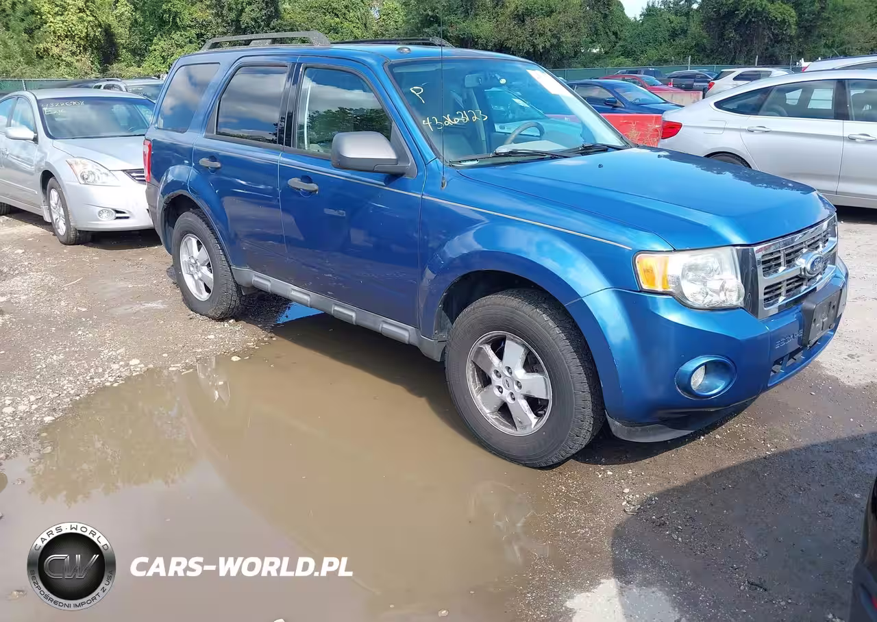 2010 Ford Escape Xlt