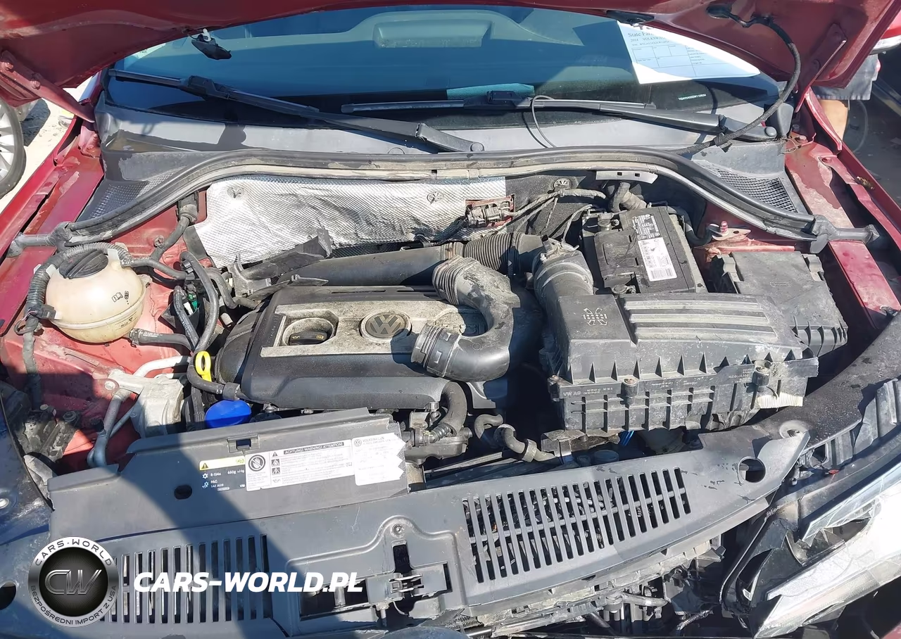 2014 Volkswagen Tiguan Sel VIN:WVGAV3AX5EW110934 - 10