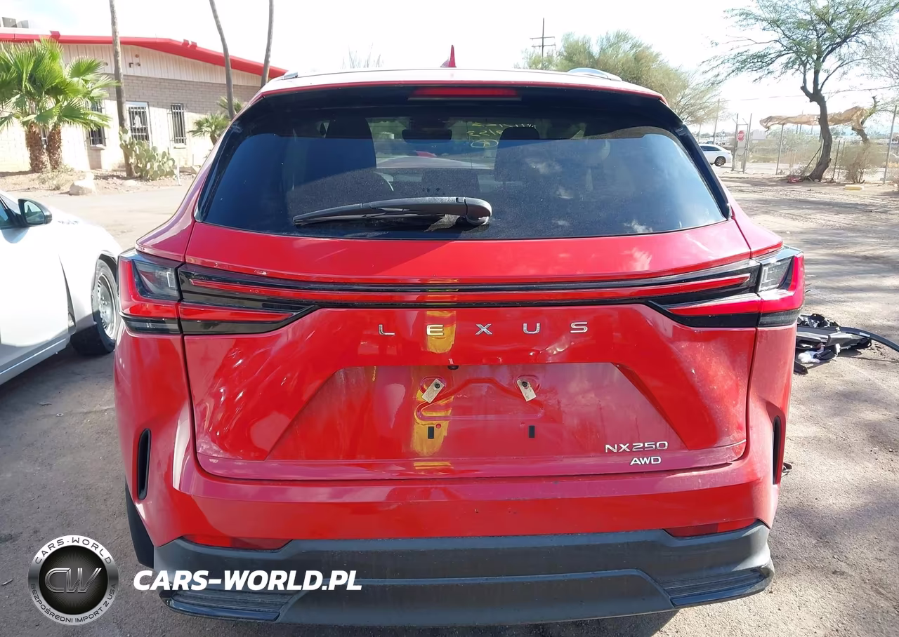 2022 Lexus Nx 250 VIN:2T2ADCEZ5NC001428 - 17
