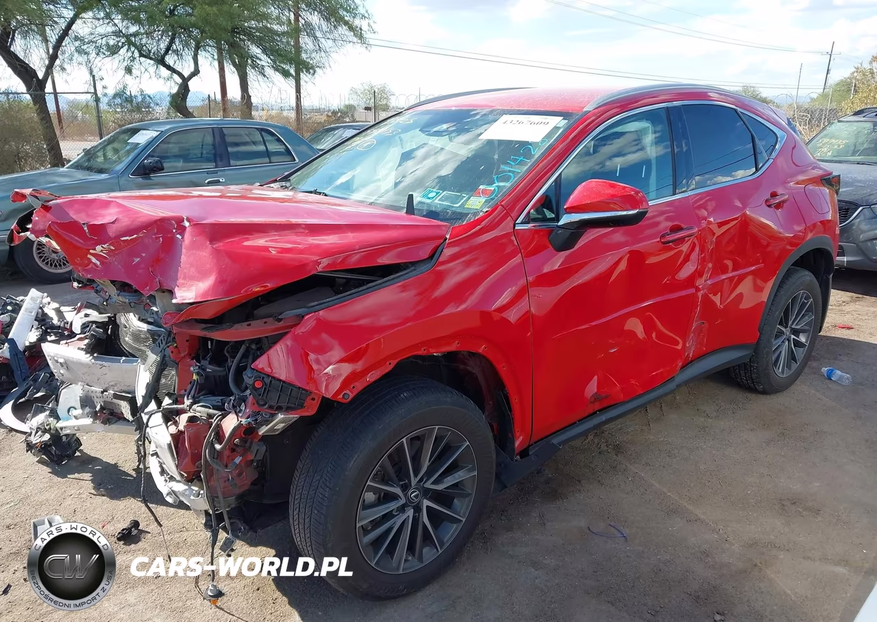 2022 Lexus Nx 250 VIN:2T2ADCEZ5NC001428 - 2