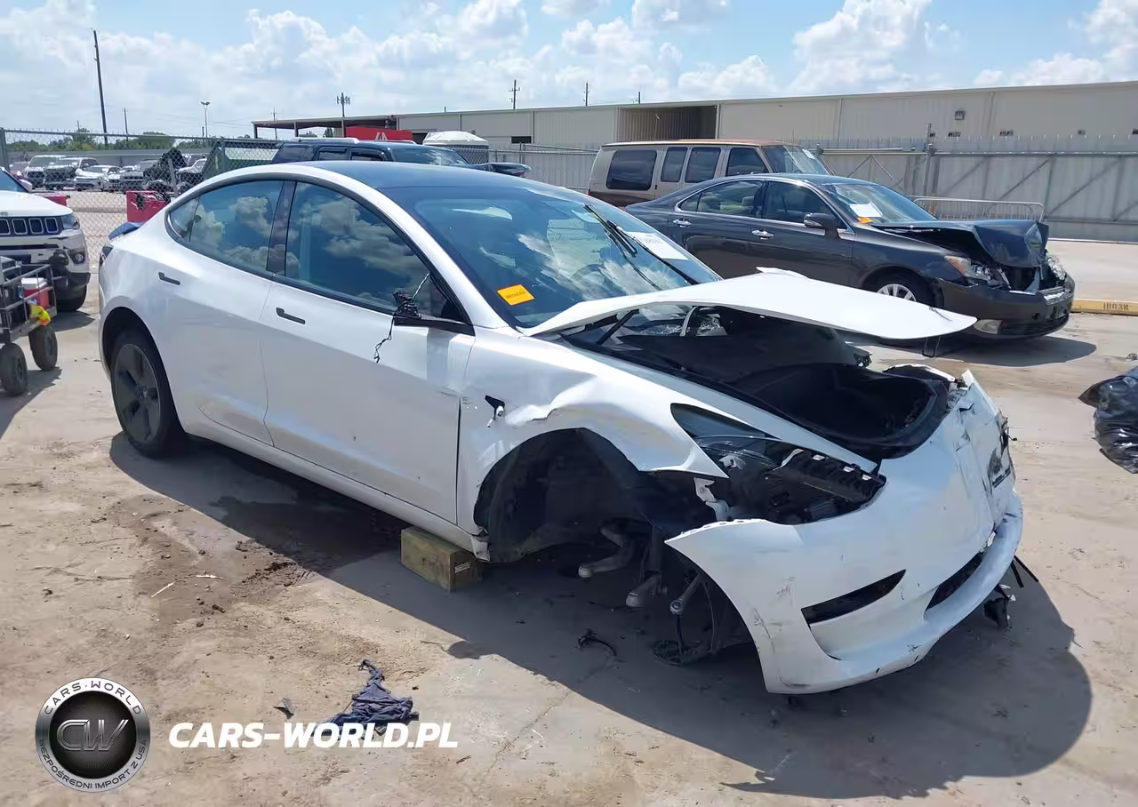 2023 Tesla Model 3 Rear-Wheel Drive