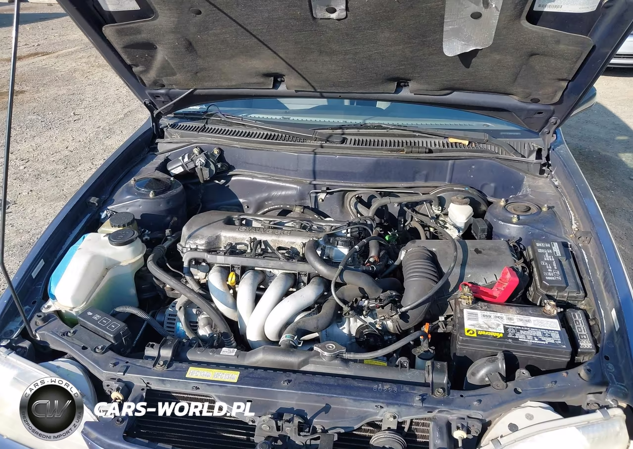 1999 Toyota Corolla Ve VIN:1NXBR12E5XZ278209 - 10