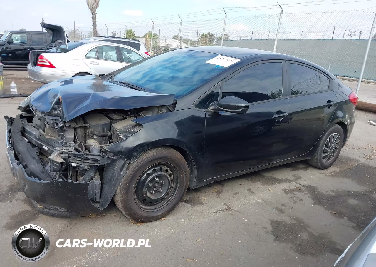 2016 Kia Forte Lx VIN:KNAFK4A64G5461436 - 15