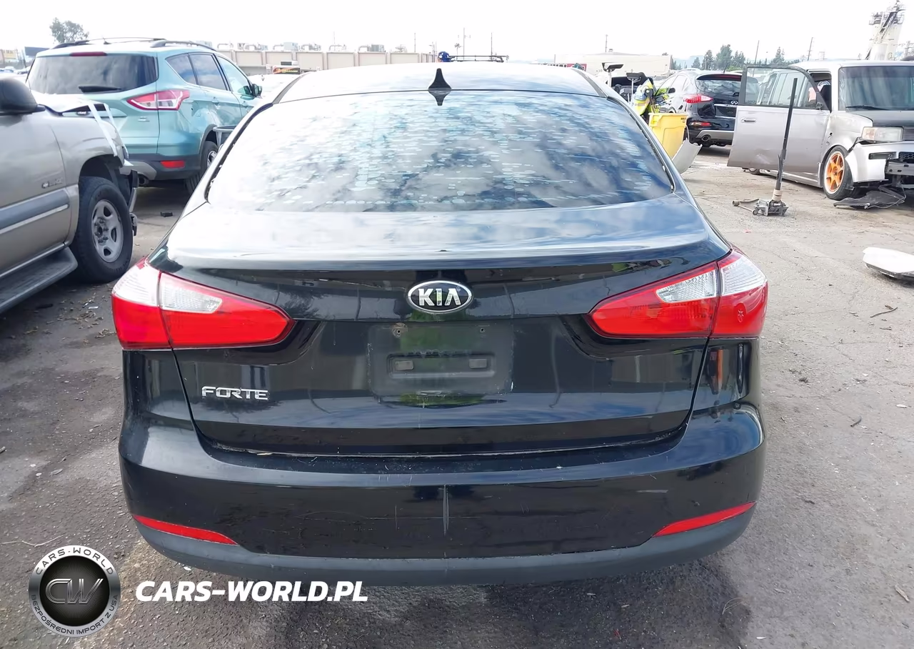 2016 Kia Forte Lx VIN:KNAFK4A64G5461436 - 17
