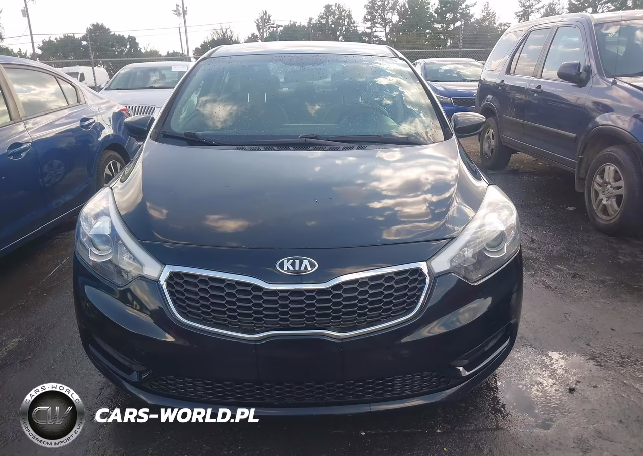 2014 Kia Forte Lx VIN:KNAFK4A62E5129184 - 12