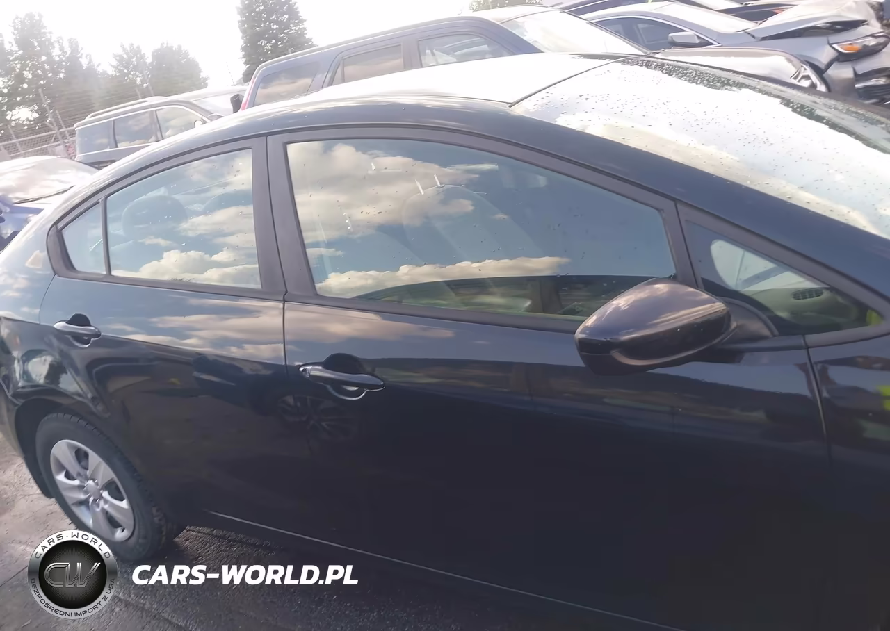 2014 Kia Forte Lx VIN:KNAFK4A62E5129184 - 13