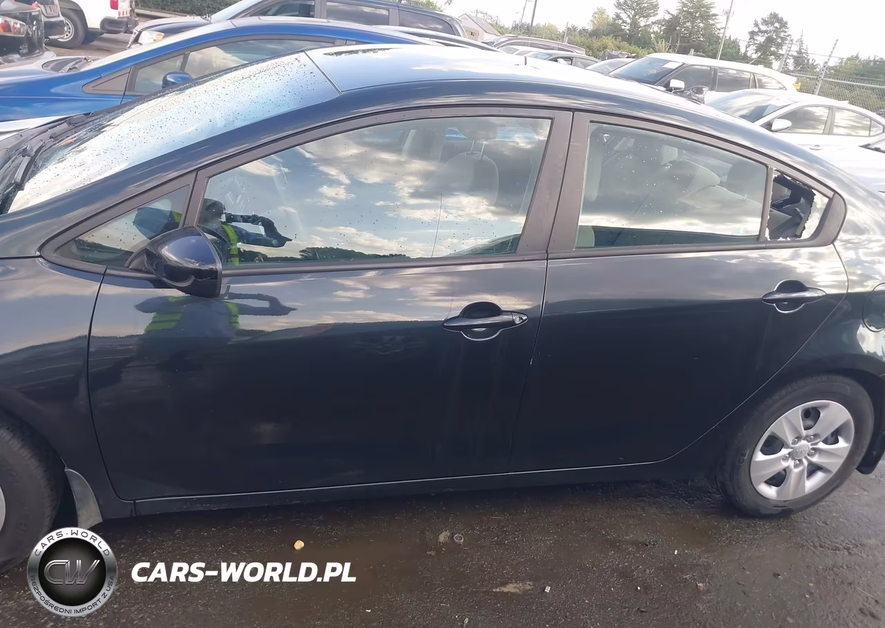 2014 Kia Forte Lx VIN:KNAFK4A62E5129184 - 14