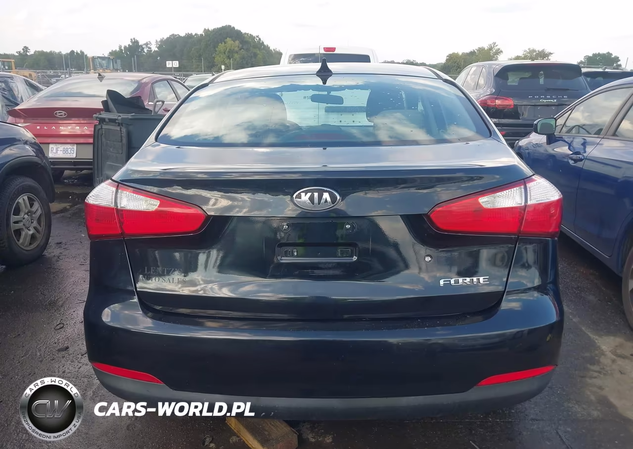 2014 Kia Forte Lx VIN:KNAFK4A62E5129184 - 16