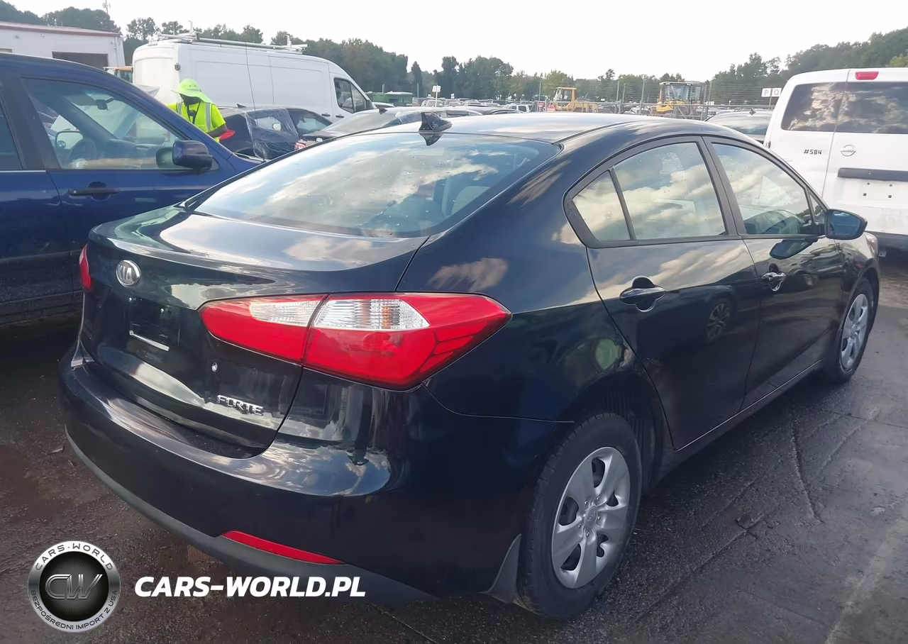 2014 Kia Forte Lx VIN:KNAFK4A62E5129184 - 4