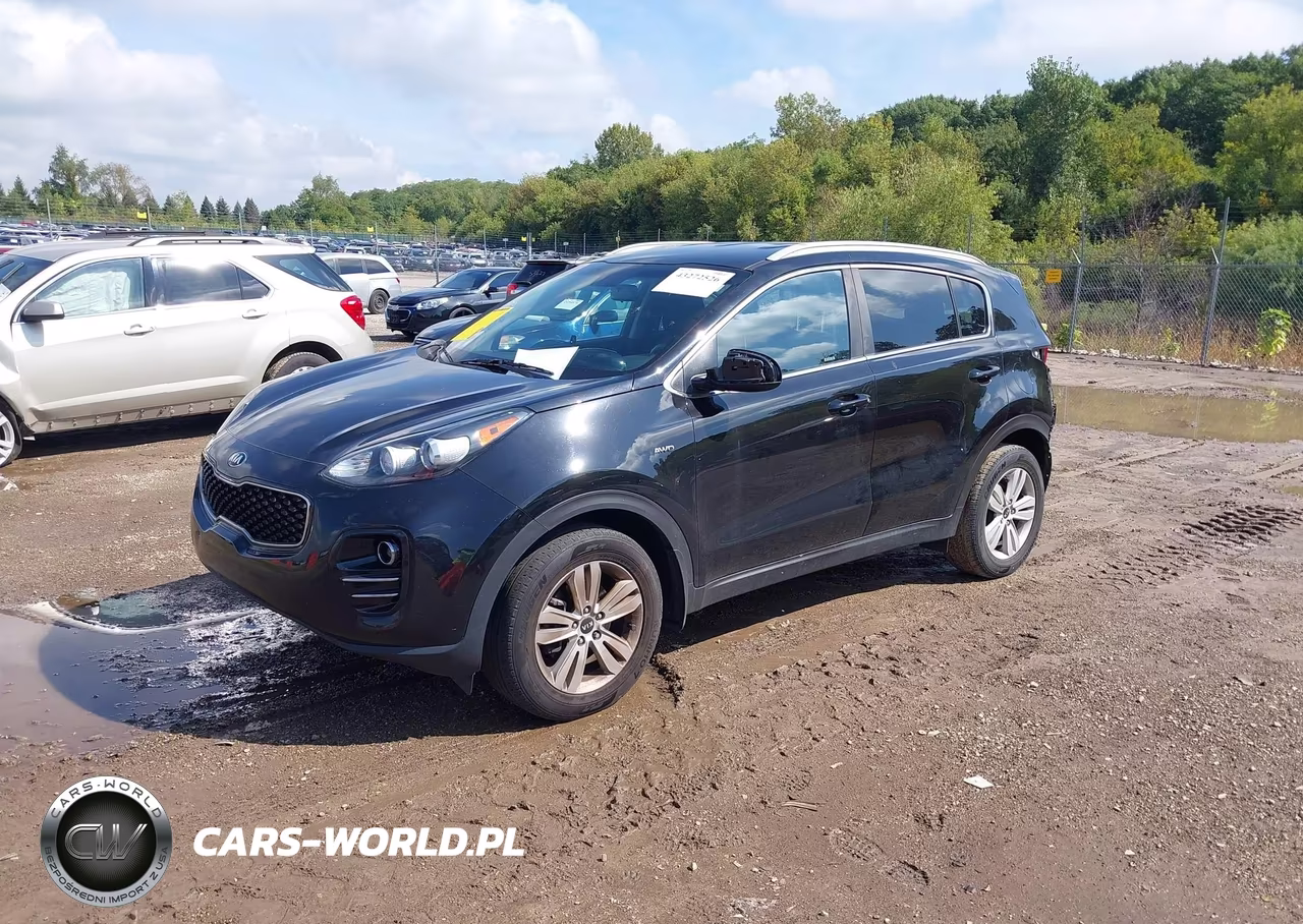 2019 Kia Sportage Lx VIN:KNDPMCAC6K7603218 - 2