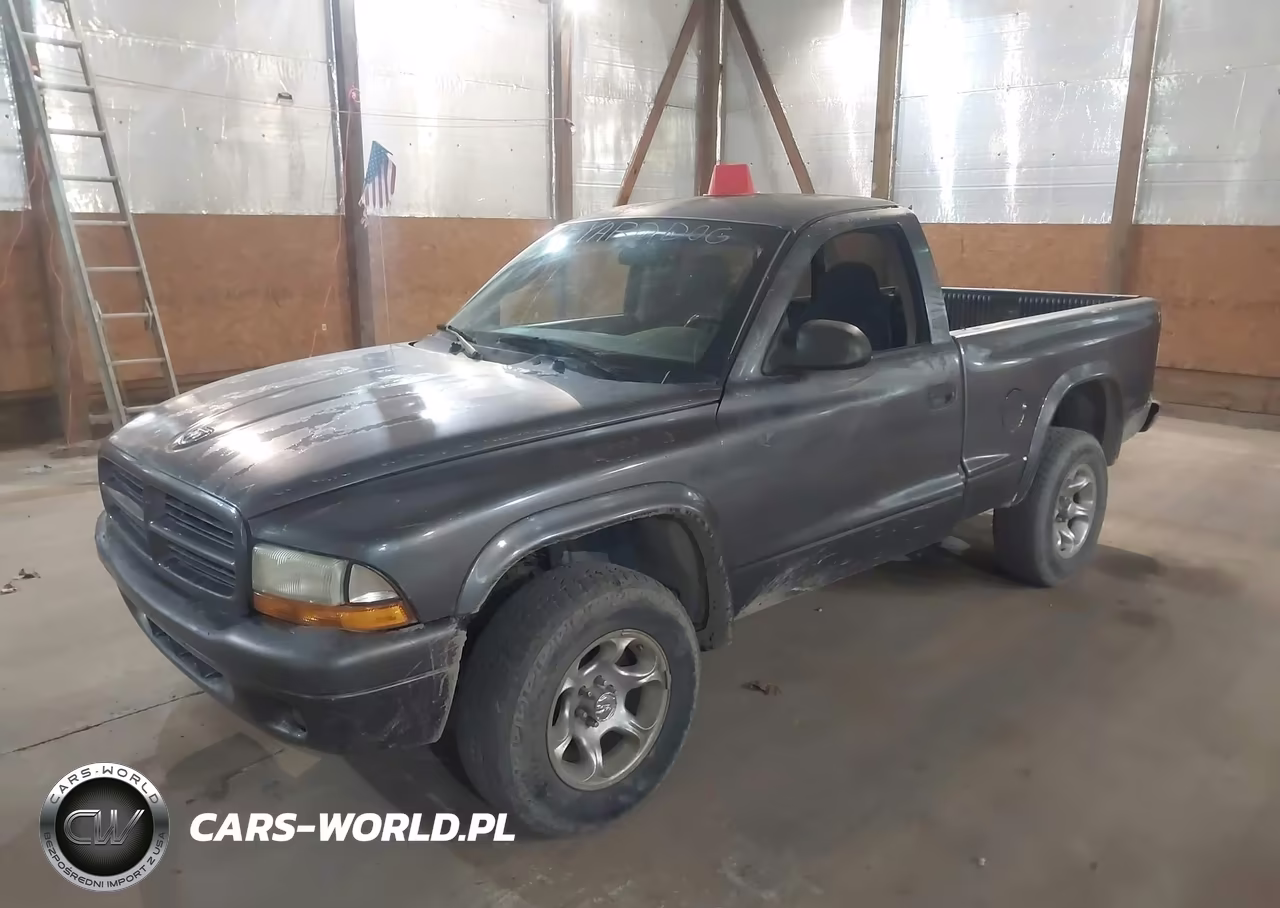 2003 Dodge Dakota VIN:1D7GG16X63S160709 - 2