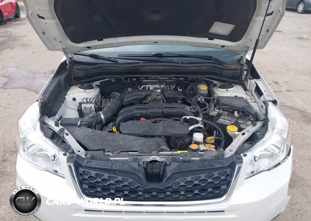 2016 Subaru Forester 2.5I VIN:JF2SJABC3GH456705 - 10