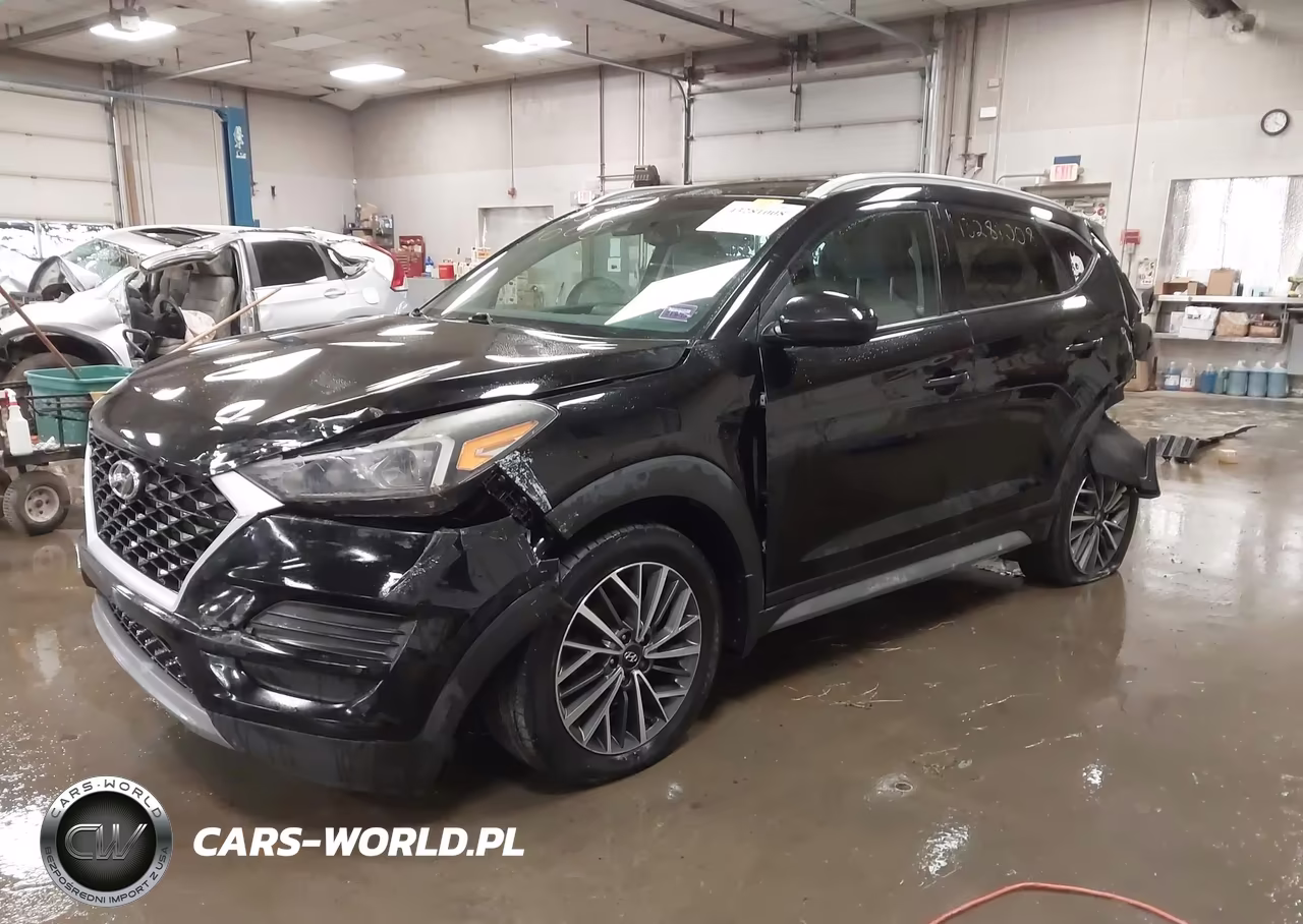 2019 Hyundai Tucson Sel VIN:KM8J3CAL7KU900942 - 2