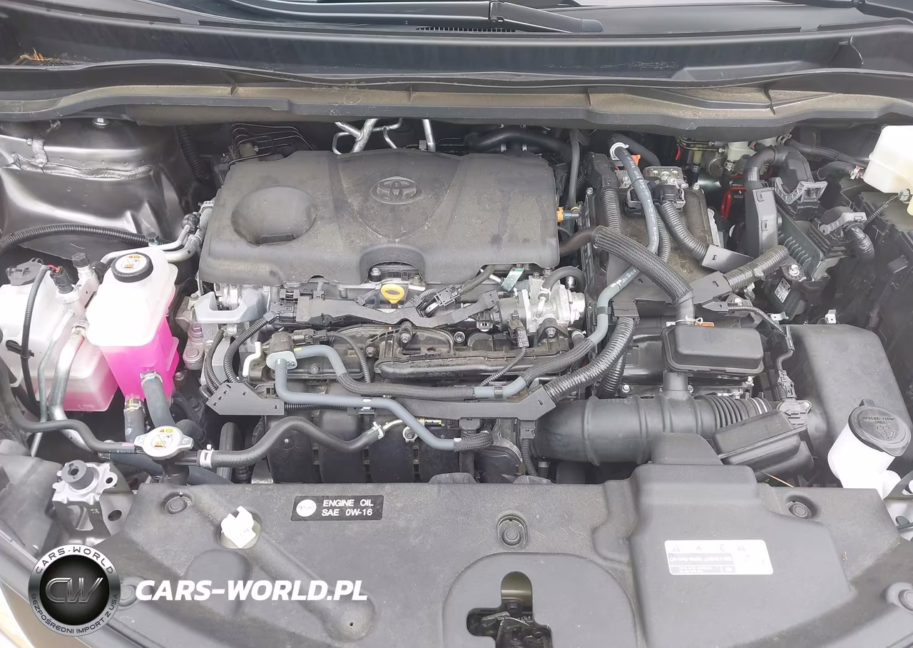 2024 Toyota Sienna Xle VIN:5TDYRKEC8RS215823 - 10