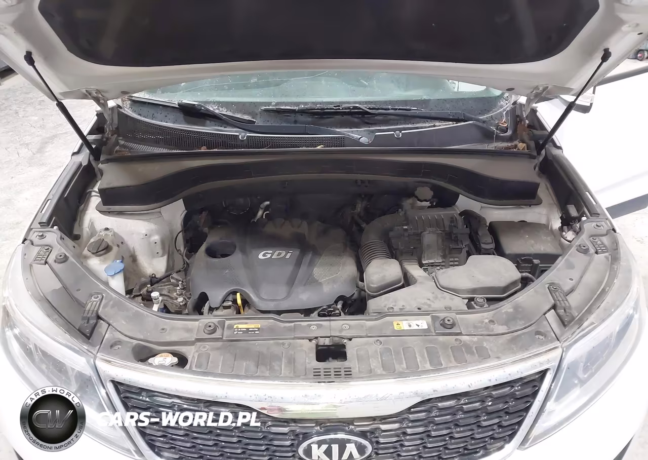 2014 Kia Sorento Lx VIN:5XYKTCA6XEG487083 - 10