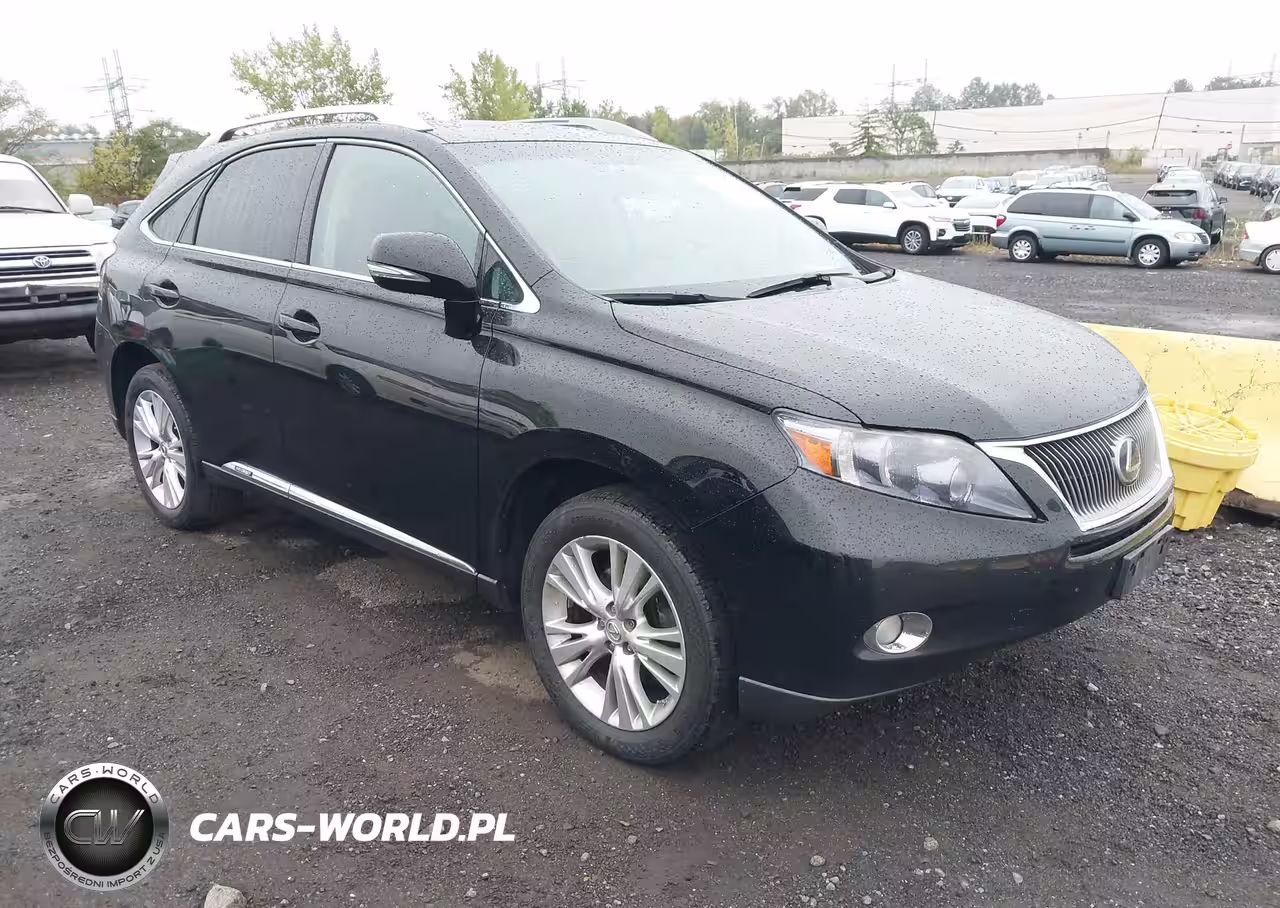 LEXUS