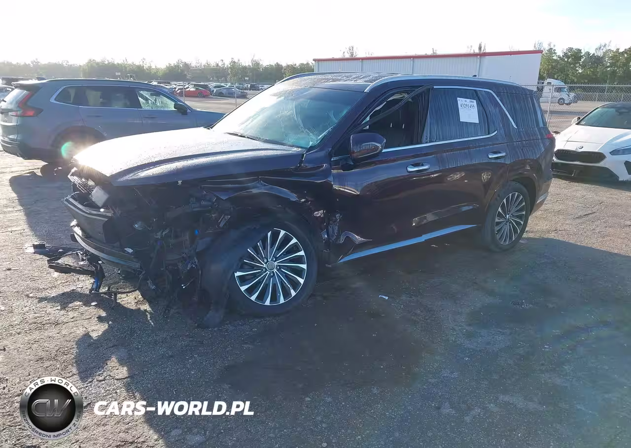 2024 Hyundai Palisade Calligraphy VIN:KM8R74GE8RU707389 - 2