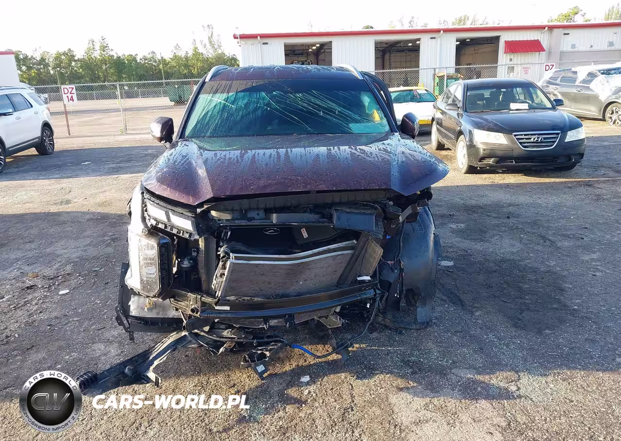 2024 Hyundai Palisade Calligraphy VIN:KM8R74GE8RU707389 - 6