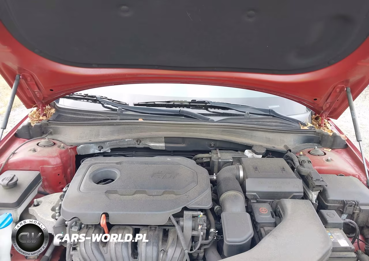 2020 Kia Optima Se VIN:5XXGT4L32LG441179 - 10