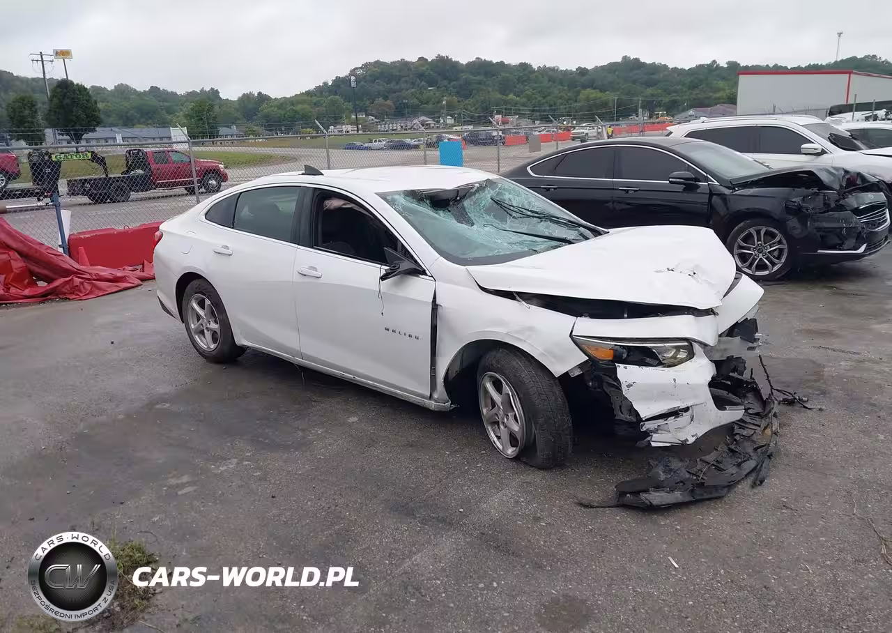 2017 Chevrolet Malibu 1Fl
