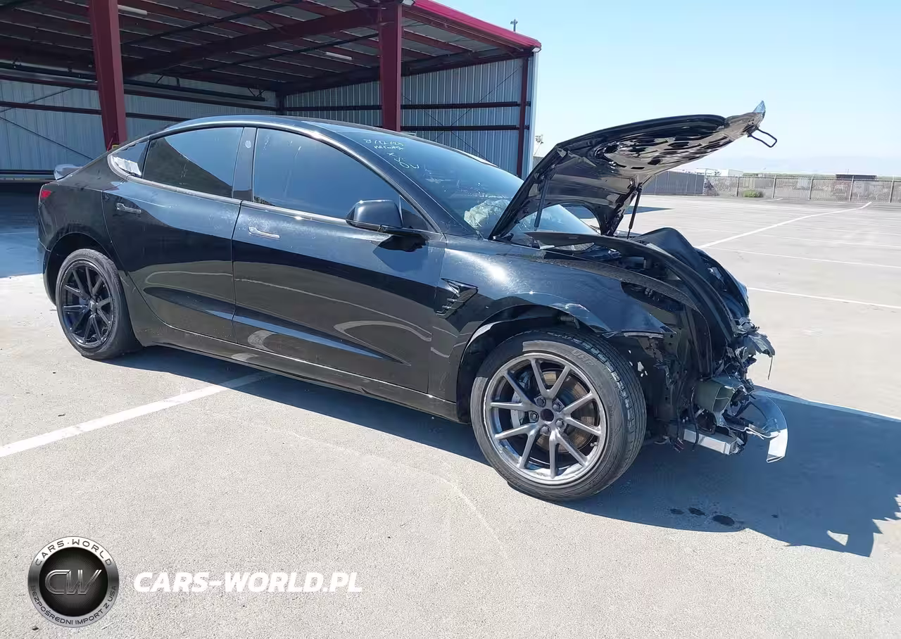 2019 Tesla Model 3 Long Range-Mid Range-Standard Range-Standard Range Plus