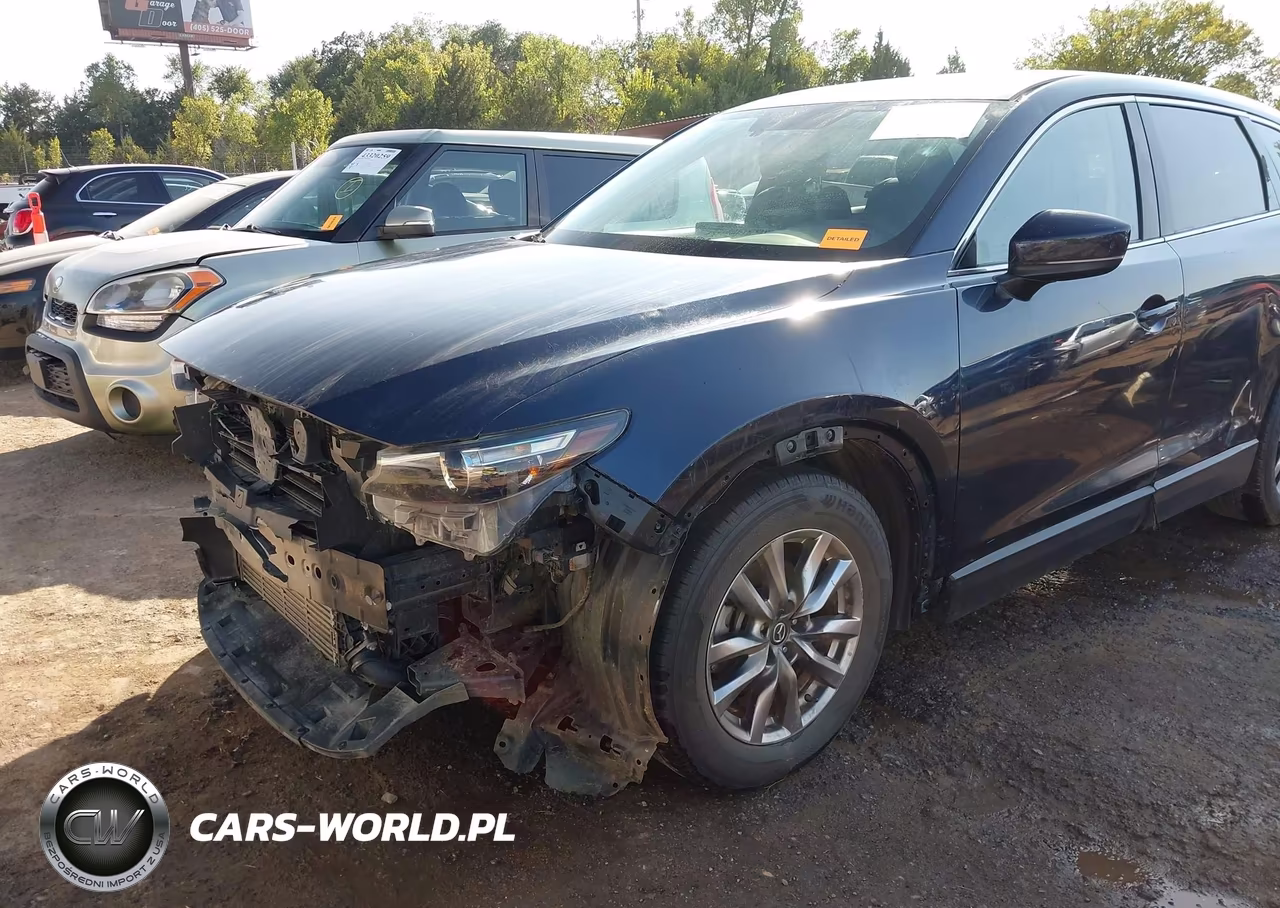 2016 Mazda Cx-9 Touring VIN:JM3TCBCY8G0120602 - 6
