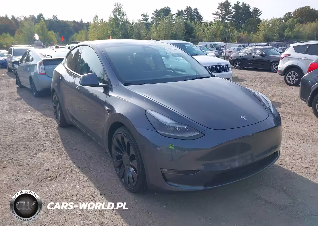 2022 Tesla Model Y Performance Dual Motor All-Wheel Drive