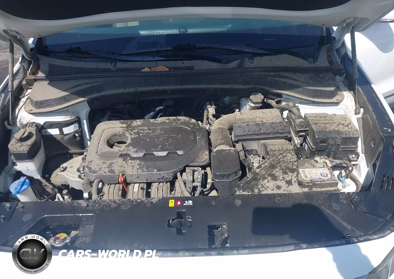 2019 Hyundai Santa Fe Sel VIN:5NMS33AD2KH090421 - 10