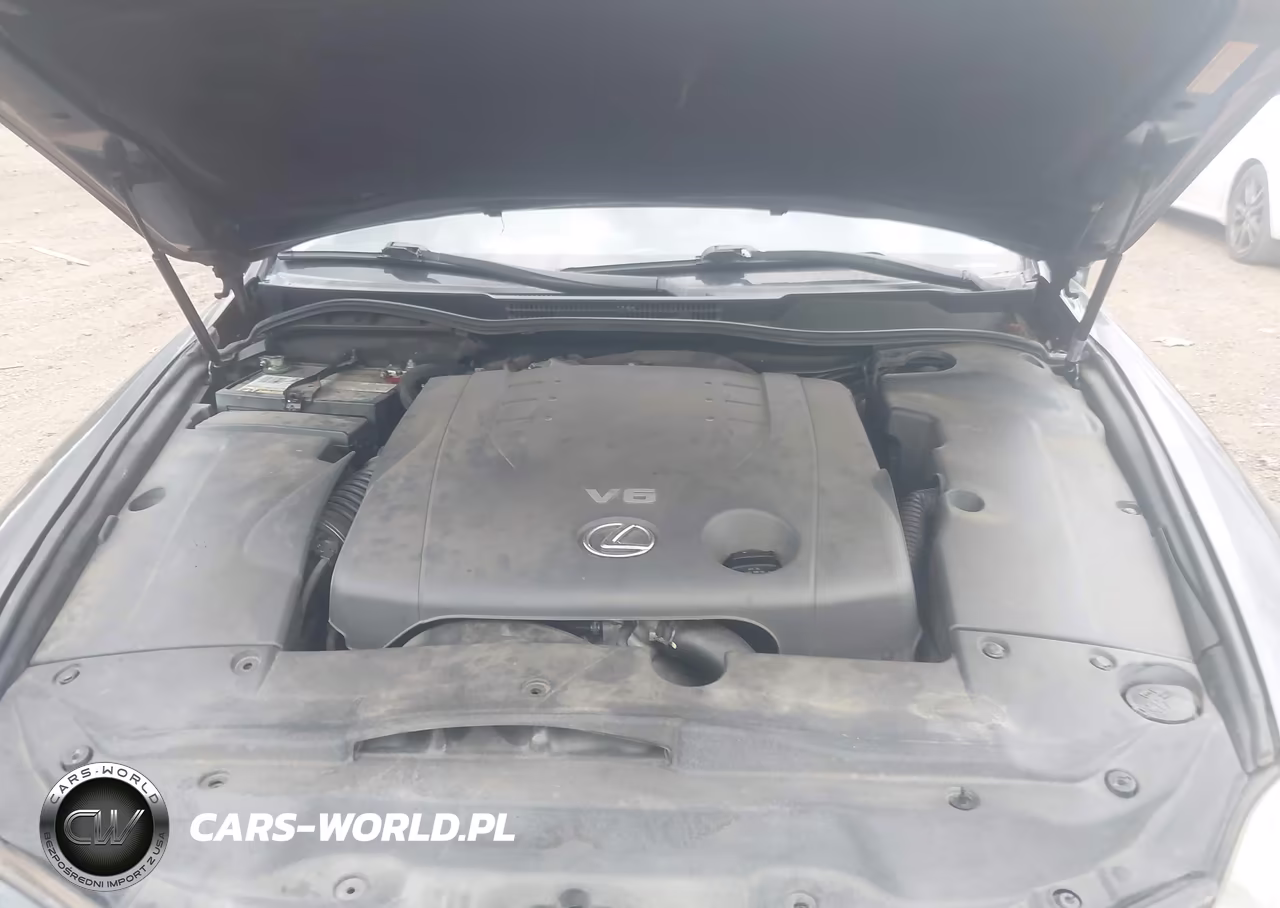 2006 Lexus Is 250 VIN:JTHBK262X65011041 - 10